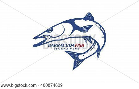 Barracuda Fish Design Vector Illustration, Creative Barracuda Fish Logo Design Concepts Template, Ic