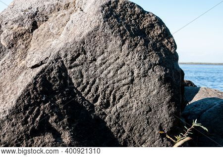 Image Of A Petroglyph Fish On The Bank Of The Amur River, Below The Village Of Sikachi-allian