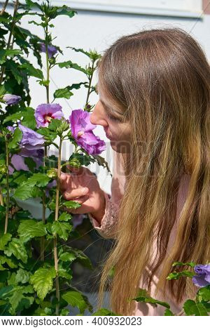 Girl With Long Hair Sniffs A Flower, Beautiful Young Woman With Fluffy Hair Sniffs A Hibiscus Flower