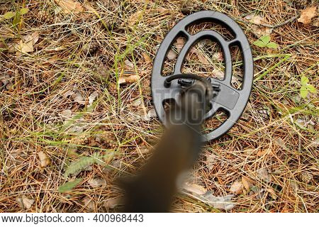 Metal Detector Coil Near The Ground In The Forest. Searching For Jewelry In Forest Soil