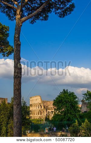 The Colloseum In Rome, Italy