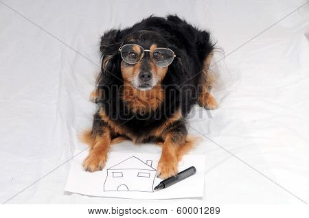 Drawing Dog