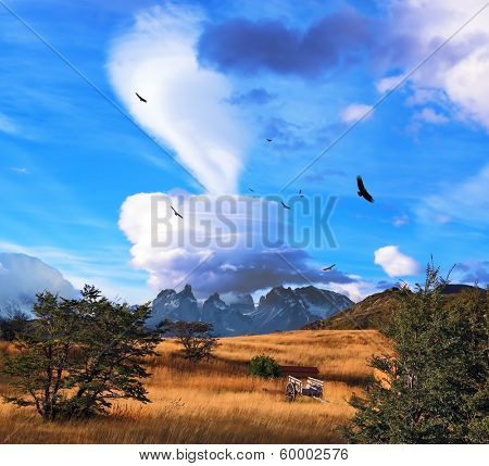 Magic cloud and flocks of Andean condors in southern Patagonia. Amazingly beautiful sunset illuminates the valley and the mountains of bright light