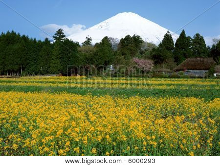 Japan Hakone bjerg Fuji