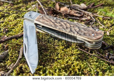 Backwoods Knife