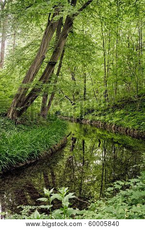 Beautiful summer Landscape with Creek