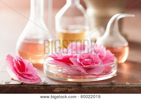 aromatherapy and alchemy with pink flowers