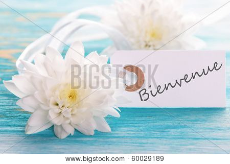 Banner With Bienvenue
