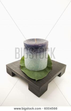 Zen morta