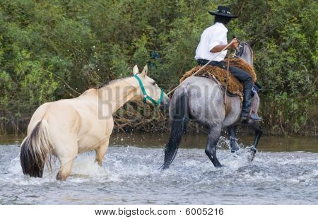 Gaucho Festival