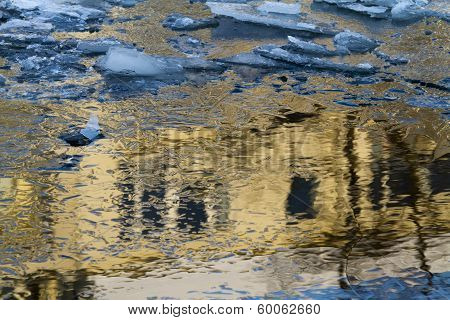 Ice Floes Golden Reflection