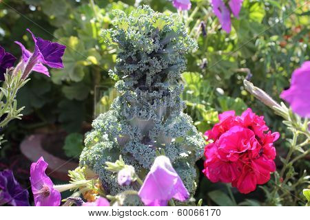Flower