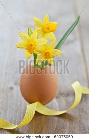 Yellow Narcissus In Egg Shell