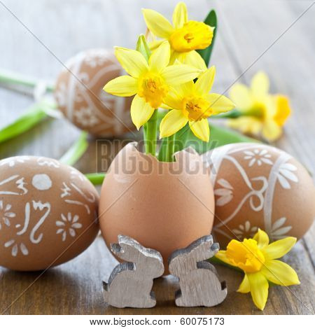 Yellow Narcissus In Egg Shell