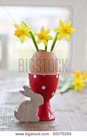 Yellow Narcissus In Egg Shell