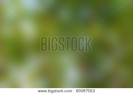 Abstract Background blur green color