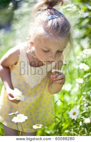 Little Baby Girl With Daisy In Her Hand