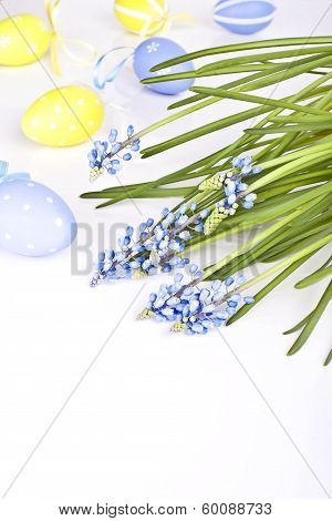 Eggs And  Blue Spring Flowers Muscari