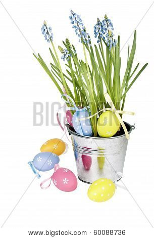 Easter Eggs And  Blue Spring Flowers Muscari