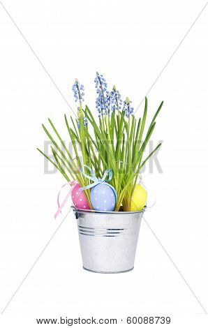 Easter Eggs And  Blue Spring Flowers Muscari In The Bucket Isolated On White