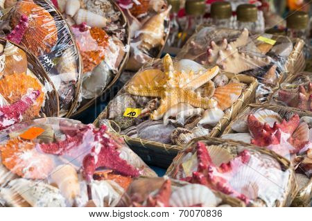 Starfish (asteroidea) For Sale At Market.