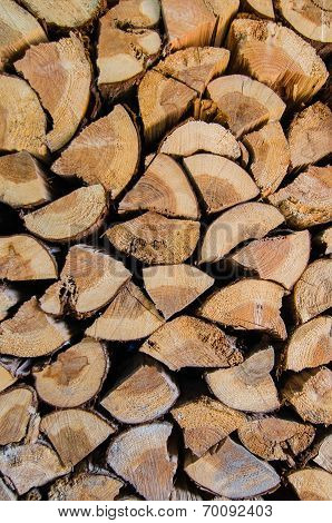 A group of cut tree trunks