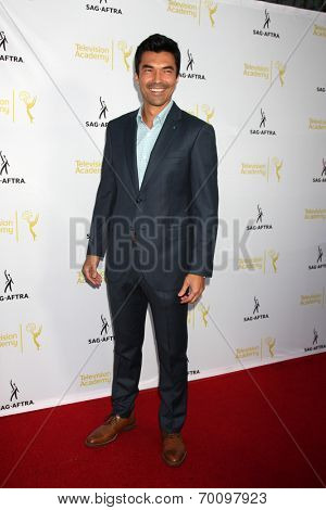 LOS ANGELES - AUG 12:  Ian Anthony Dale at the Dynamic & Diverse:  A 66th Emmy Awards Celebration of Diversity Event at Television Academy on August 12, 2014 in North Hollywood, CA