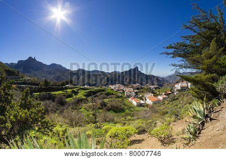 Tejeda