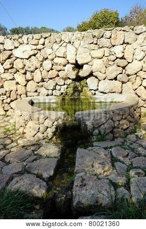 Ancient Spring