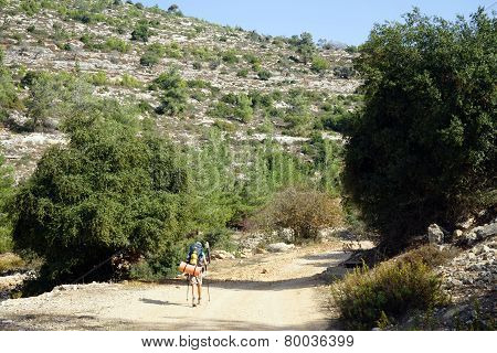 Backpacker