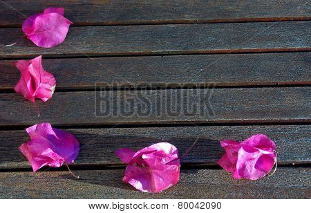 Five Pink Petals