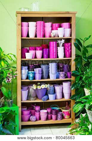 Flowerpots In A Shelf In A Market