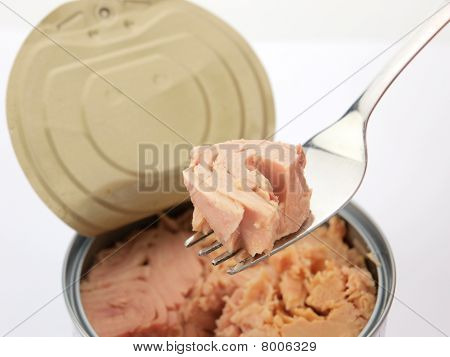 Thunfisch