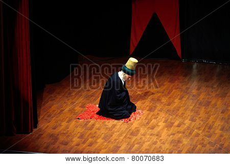 Whirling Dervish Grandparents