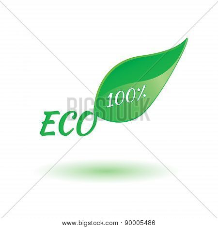 Eco Product Leaf Illustration