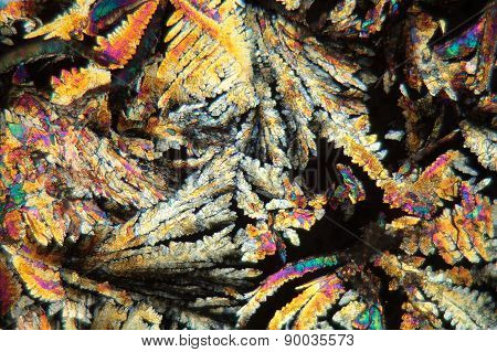 Crystals Of Diclofenac Under The Microscope.