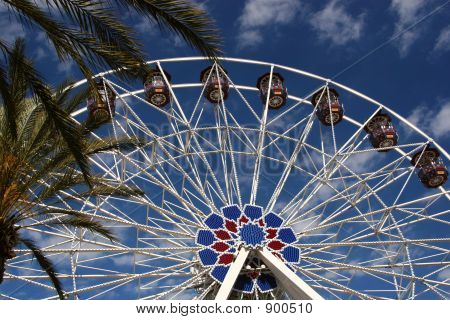 tropische Riesenrad