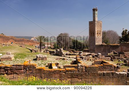 Chellah Ruins and Minaret, Rabat, Morocco
