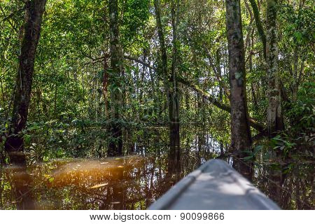 Canoe Ride In The Cuyabeno River, Cuyabeno National Park, South America