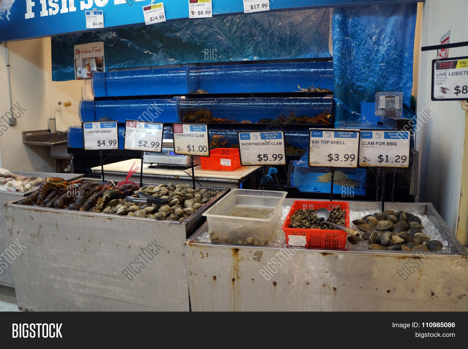 Fresh Seafood Image Photo Free Trial Bigstock