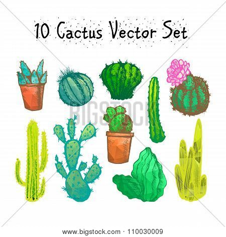Hand Drawn Isolated Cactuses Set