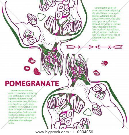 Pomegranate Illustration For Postcard, Invitation Or Lable