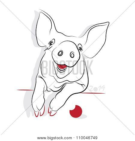 Chinese Calligraphy Pig  2019