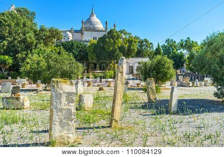 Visiting Ancient Carthage