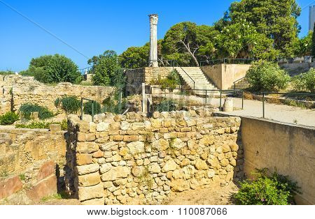 The Tunisian Antiquities