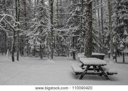 Winter Bench Somewhere In Latvia