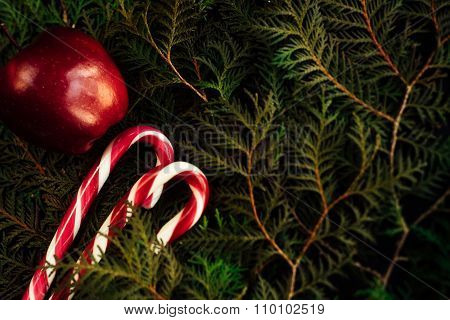 Amazing Beautiful Green Branches Cedar With Candy And Apple For Christmas On Stylish Black Backgroun