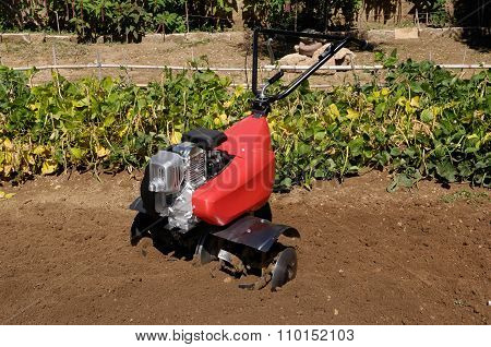 Cultivator On A Field, Orchard