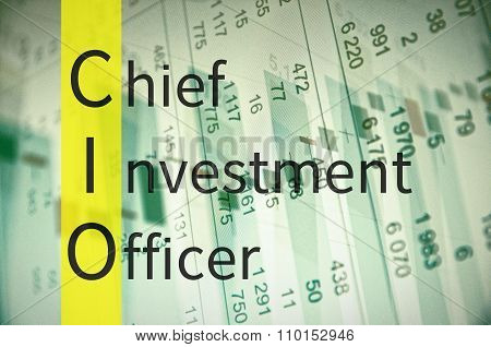 Chief investment officer