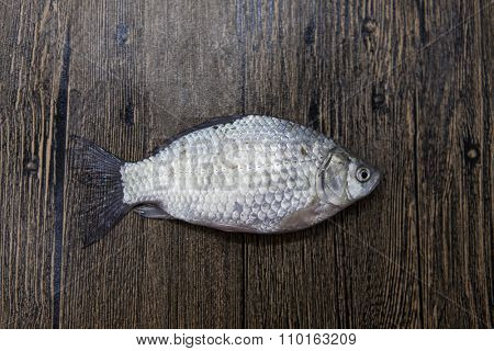 Fresh raw fish carp caught lying on a wooden stump. Live fish crucian Carassius auratus gibelio